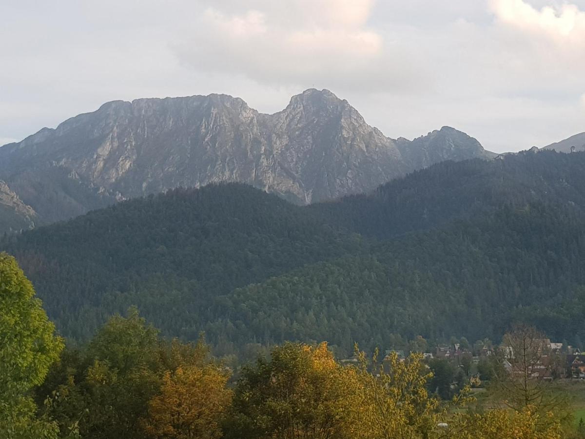 Apartament Sobiczkowa Zakopane กอสเชียลิสกอ ภายนอก รูปภาพ